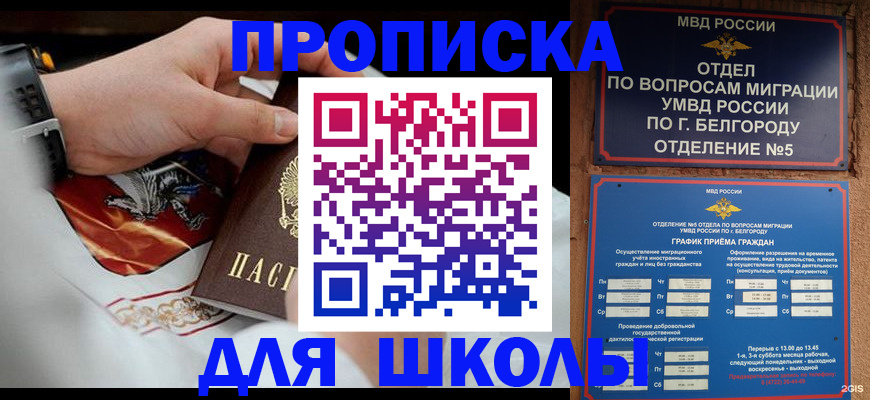 пропишу в квартире в Кольчугино